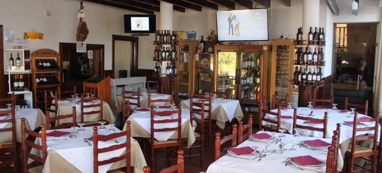 O Gato酒店及水疗中心(Hotel O Gato & Spa)图片