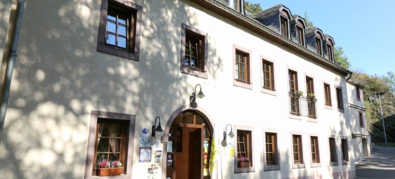 威尔兹制革厂酒店(Aux Tanneries de Wiltz)图片