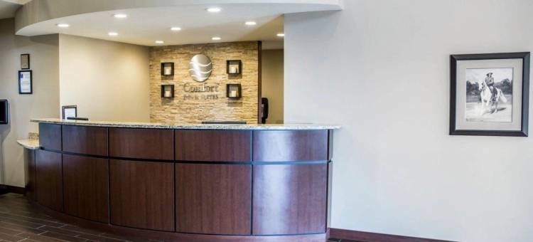 河景舒适套房酒店(Comfort Inn & Suites Riverview Near Davenport and I-80)图片