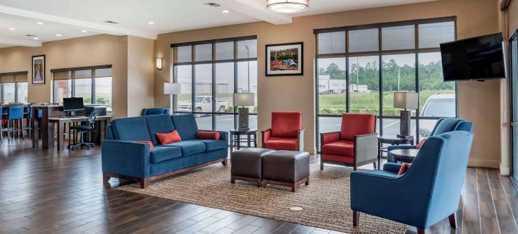 佩尔城靠近洛根马丁湖的康福特套房(Comfort Suites Pell City Near Logan Martin Lake)图片