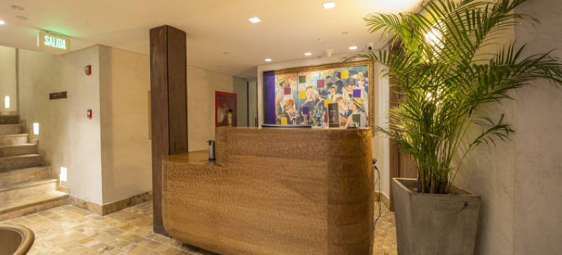 沃伊拉中心历史酒店(Voila Centro Historico)图片