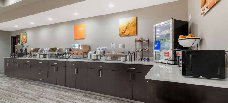 舒适套房酒店-近医疗中心(Comfort Inn & Suites Near Medical Center)图片