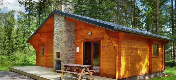 比利时带舒适木质内饰的小木屋(Chalet in Belgium with Cozy Wood Interior)图片