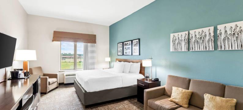 拉夫金舒眠酒店(Sleep Inn Lufkin)图片