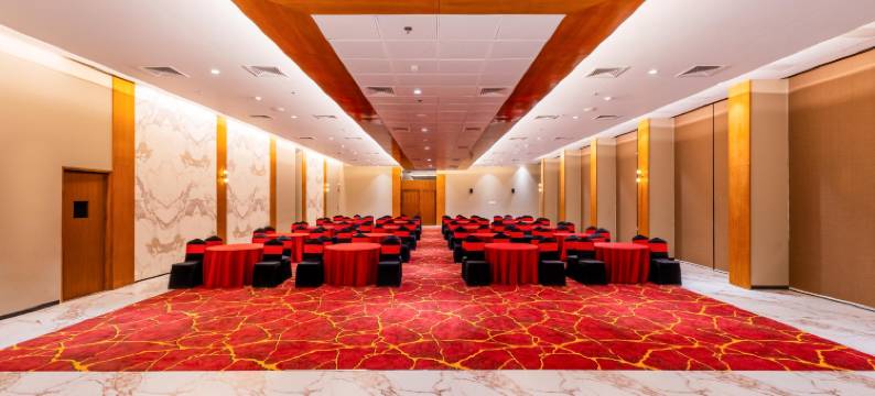 恩瑞斯内穆奇酒店(Enrise By Sayaji Neemuch)图片