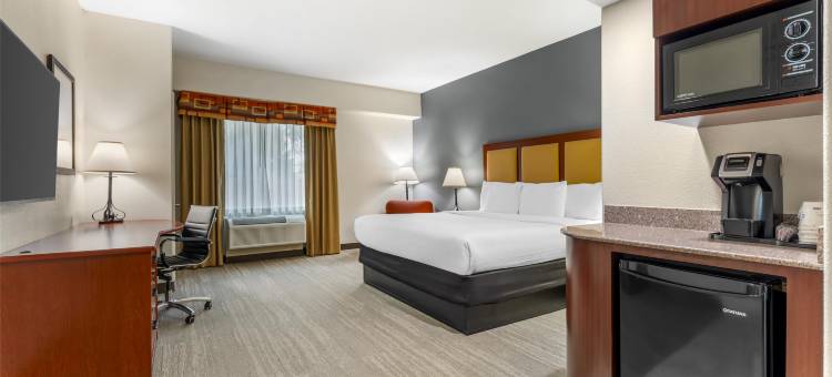 瓦克沙哈契贝斯特韦斯特优质套房酒店(Best Western Plus Waxahachie Inn  Suites)图片