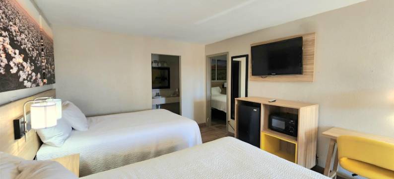 迈克艾伦戴斯酒店(Days Inn by Wyndham McAllen)图片