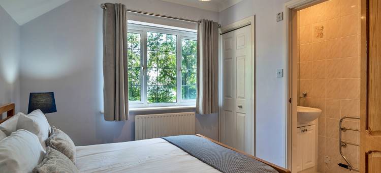 Cottage in Whitestone with Garden & Games Room图片