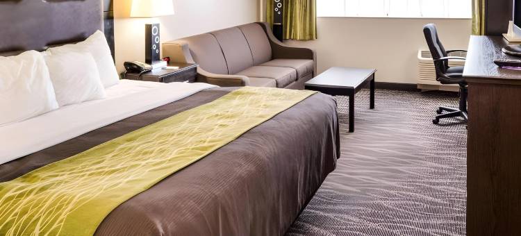 查尔斯顿市区舒适酒店(Comfort Inn Downtown Charleston)图片