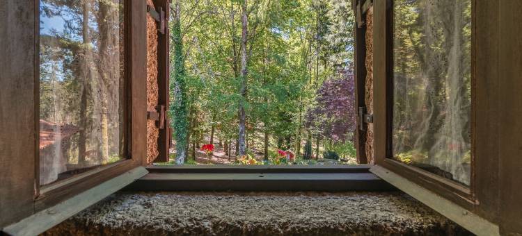 Uma joia moderna de meados do século em Braga图片