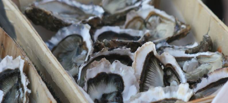 Cozy Garden Villa in Bonnemain图片