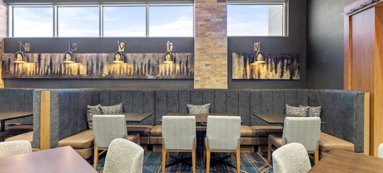 欧文拉斯科利纳斯希尔顿使馆套房酒店(Embassy Suites by Hilton Irving Las Colinas)图片