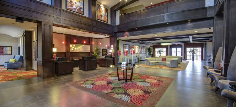Holiday Inn 阿林顿东北流浪者棒球场(Holiday Inn ARLINGTON NE-RANGERS BALLPARK by IHG)图片