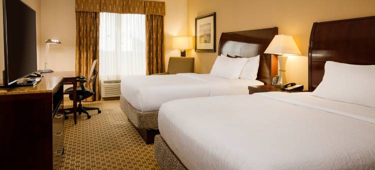 希尔顿花园旅馆-辛辛那提布鲁艾施镇(Hilton Garden Inn Cincinnati Blue Ash)图片