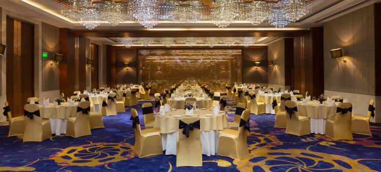 齐普尔市中心假日酒店(Holiday Inn Jaipur City Centre)图片