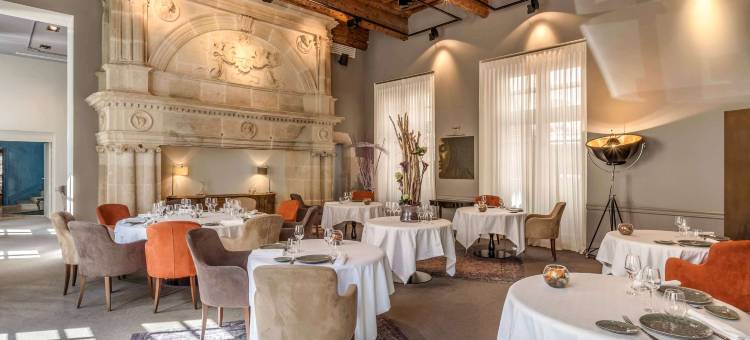 美憬阁图卢兹 La Cour des Consuls 水疗酒店(La Cour des Consuls Hôtel & Spa Toulouse - MGallery)图片