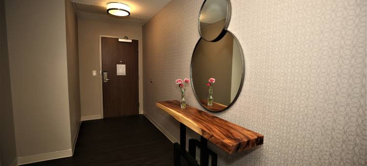 Holiday Inn Express & Suites Charlotte - South End图片