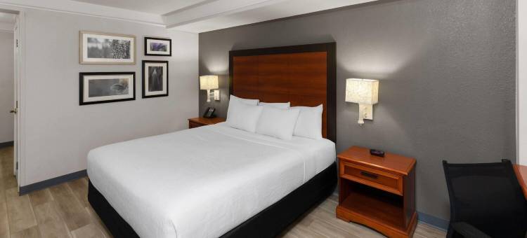 圣安东尼奥机场拉昆塔温德姆套房酒店(La Quinta Inn & Suites by Wyndham San Antonio Airport)图片