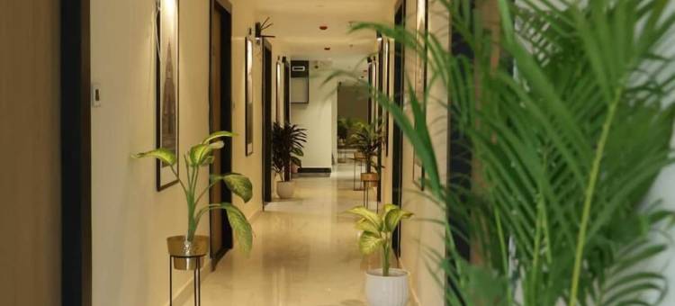 琥珀旅馆(Hotel Amber Inn)图片