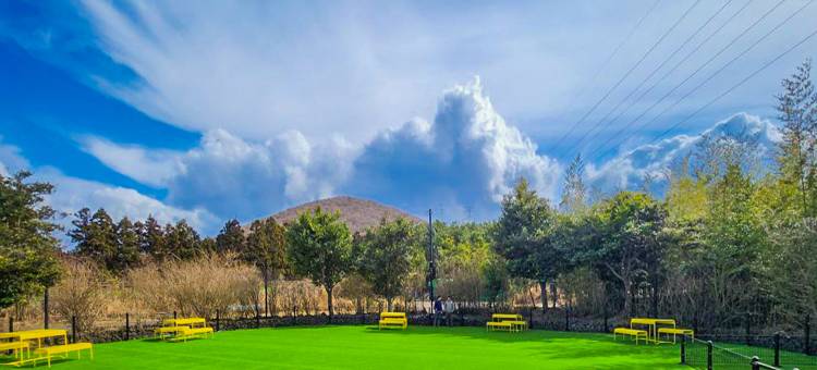 济州韩华度假村(Hanwha Resort Jeju)图片