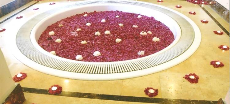 贾朗达尔丽筠酒店(Radisson Hotel Jalandhar)图片