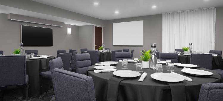 达拉斯沃斯堡国际机场北/欧文万怡酒店(Courtyard Dallas DFW Airport North/Irving)图片