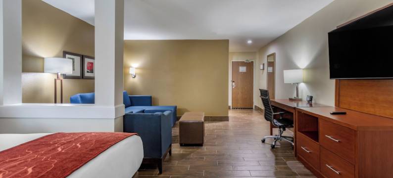 舒适套房酒店(Comfort Suites Bowling Green Southeast)图片