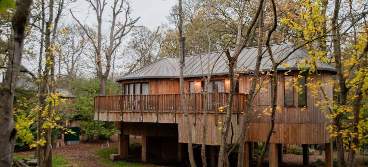 温莎公园费尔蒙酒店(Fairmont Windsor Park)图片