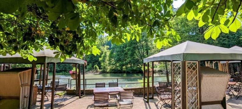 西尔本穆勒森林酒店(Waldhotel Silbermühle)图片