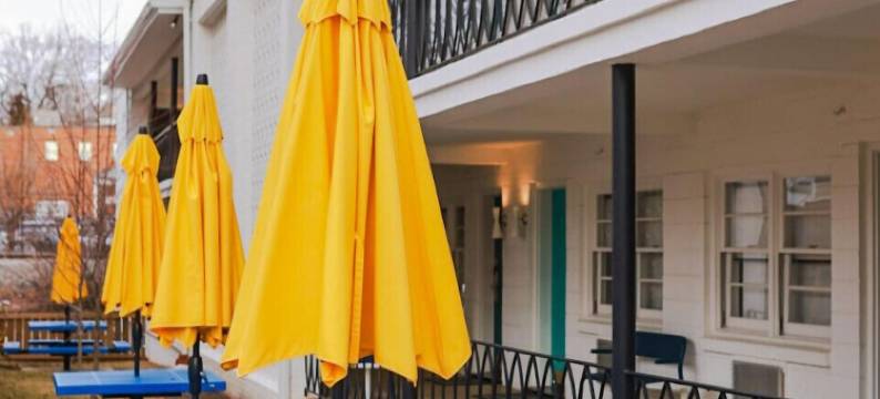 小摩德酒店在大学(Little Mod Hotel at the University)图片