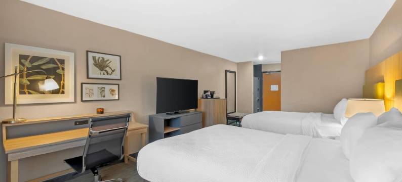 菲尔维海茨丽怡酒店(Country Inn & Suites by Radisson, Fairview Heights, IL)图片