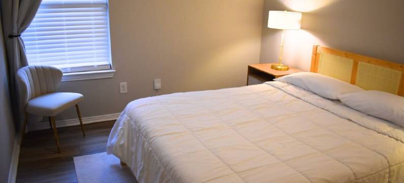 Modern 3 Bdr home! Near everything!图片