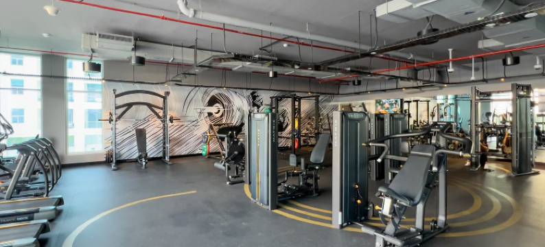 Studio One 1209图片