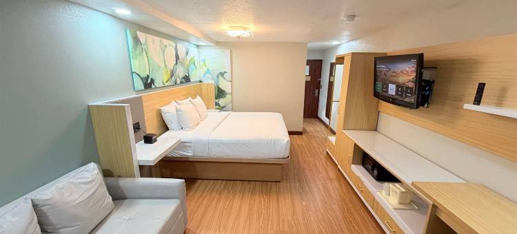 凯艺套房酒店(Wyndham Garden Salina Conference Center)图片