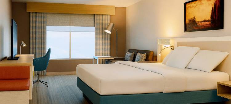 休斯顿/伍德兰斯希尔顿花园旅馆(Hilton Garden Inn Houston/The Woodlands)图片