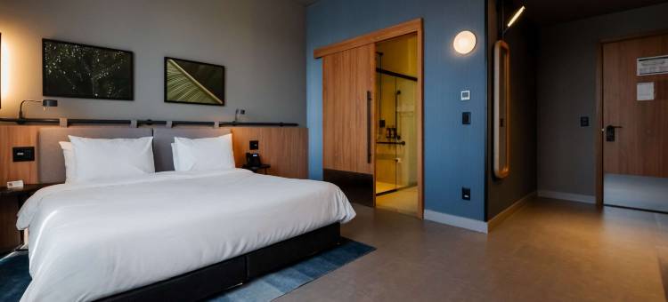 乌贝蓝迪亚诺富特酒店(Novotel Uberlândia)图片