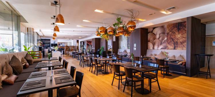 康塞普西翁佩特拉温德姆酒店(Wyndham Concepcion Pettra)图片
