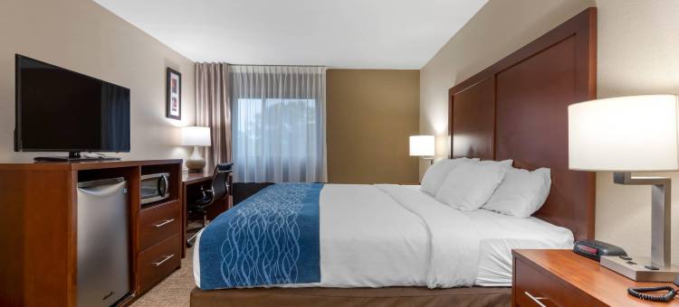 宾厄姆顿I-81舒适酒店(Comfort Inn Binghamton I-81)图片