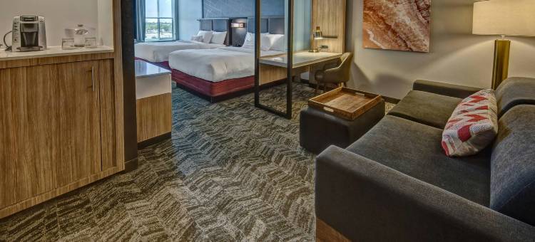 阿马里洛SpringHill Suites酒店(SpringHill Suites Amarillo)图片