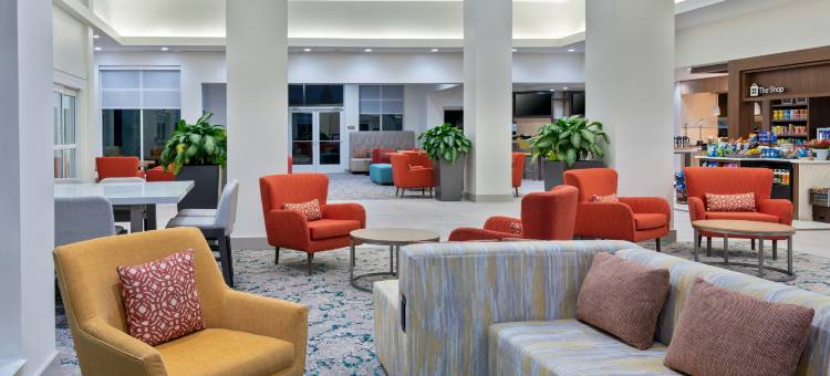 奥兰多国际大道北希尔顿花园酒店(Hilton Garden Inn Orlando International Drive North)图片