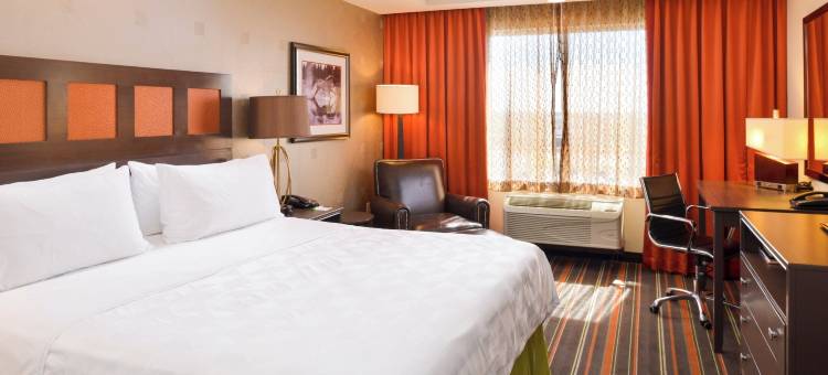 Holiday Inn 阿马里洛西部医疗中心(Holiday Inn AMARILLO WEST MEDICAL CENTER by IHG)图片