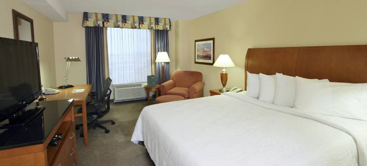 奥克斯-卡马里奥希尔顿花园客栈(Hilton Garden Inn Oxnard/Camarillo)图片