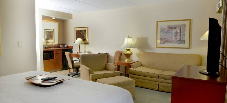 温莎希尔顿欢朋套房酒店(Hampton Inn and Suites by Hilton Windsor)图片