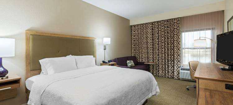 博尼塔斯普林斯那不勒斯北欢朋酒店(Hampton Inn Bonita Springs/Naples-North)图片