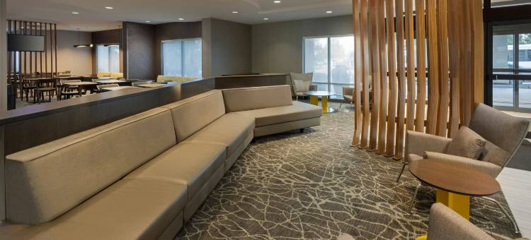 纽瓦克国际机场SpringHill Suites酒店(SpringHill Suites by Marriott Newark International Airport)图片