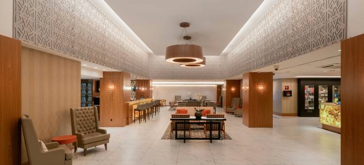 巴西阿雷格里港希尔顿酒店(Hilton Porto Alegre)图片