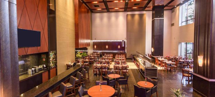 雷迪森库里提巴大酒店(Radisson Hotel Curitiba)图片
