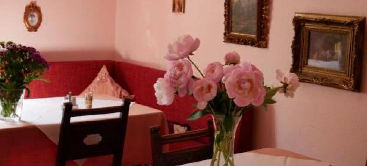 沃夫莎索尼亚酒店(Wohlfühlhotel Saxonia)图片