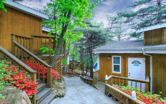 Couplestar in Forest Glamping Hotel Overview