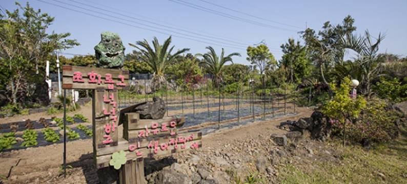 济州美丽鸟儿旅馆(Jeju Beautiful Bird Pension)图片